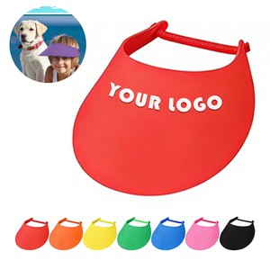 Sun Visor
