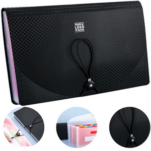 Portable Accordion Document Organizer